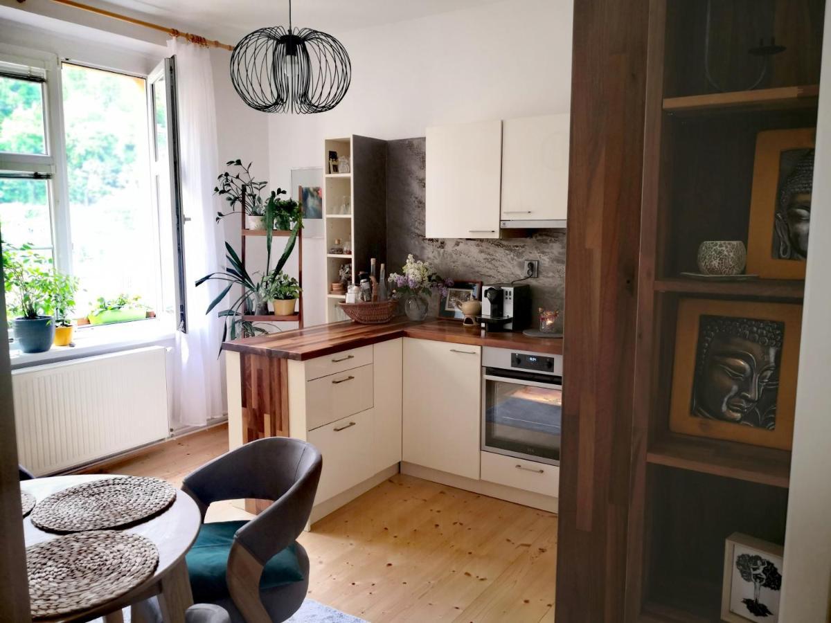 Apartmany Ivana Decin Extérieur photo